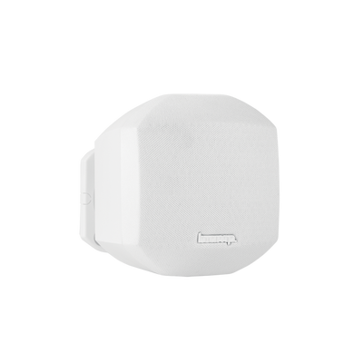 Biamp Desono MASK2 2.5'' Yüzeye Monte Hoparlör (Pasif, IP60, 35 W)