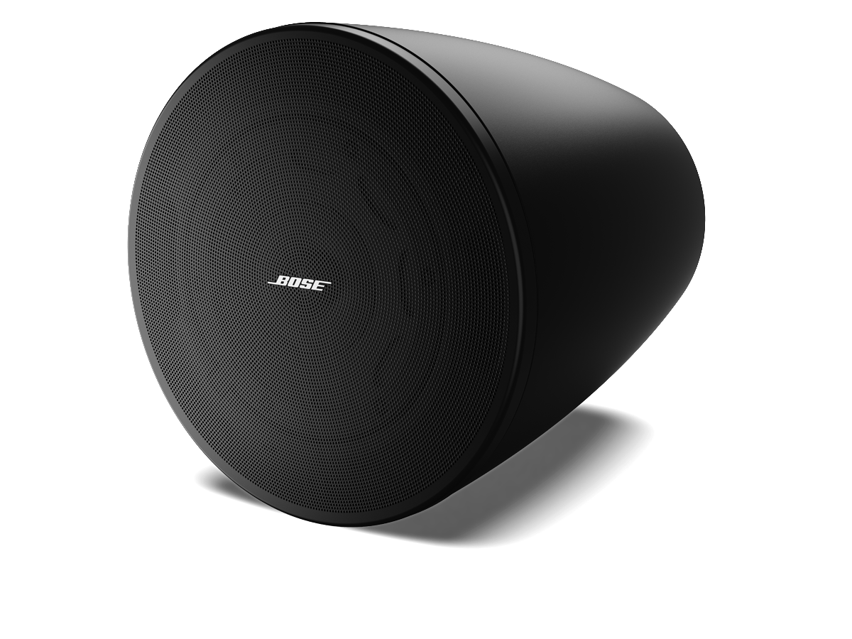 Bose Professional DesignMax DM5P Asma Tipi Hoparlör (120° Kaplama, 111 dB SPL, İç Mekan)