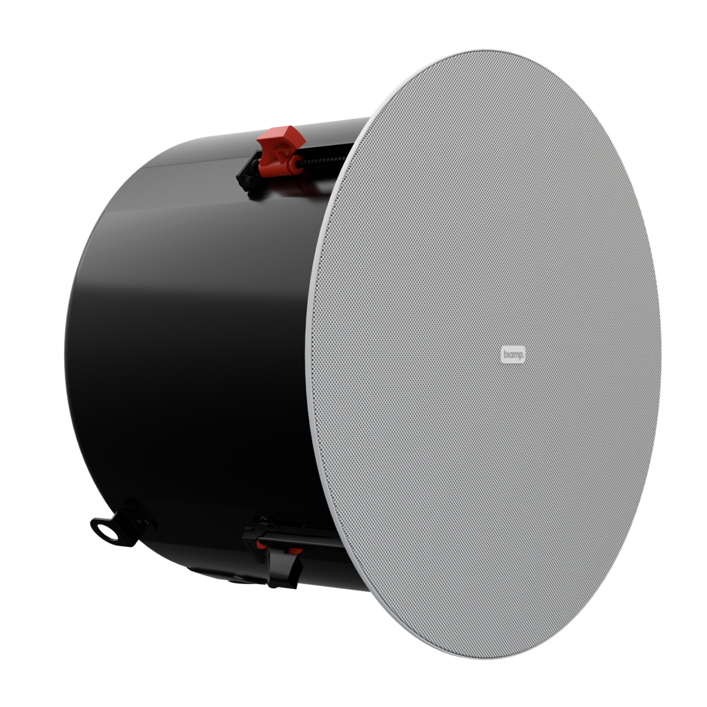 Biamp Desono DX-IC10SUB Pasif Subwoofer (10 inç, 200 W, İç Mekan)