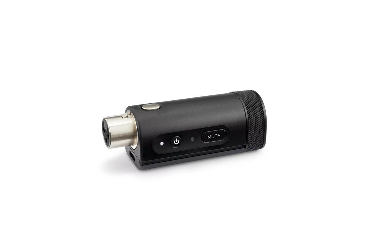 Bose S1 Pro+ Wireless Mic/Line Transmitter XLR (Bluetooth, AirPlay 2, Chromecast)