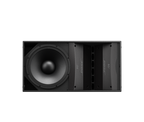 Bose Professional ArenaMatch AM10 Kolon Dizi Hoparlörü (10° Dikey, Maks. 137 dB SPL, Modüler DeltaQ)