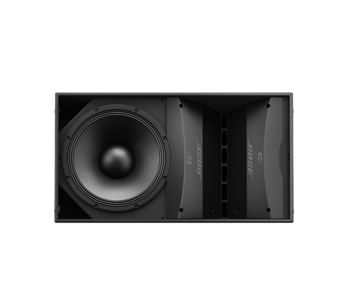 Bose Professional ArenaMatch AM20 Kolon Dizi Hoparlörü (20°, 136 dB SPL, Modüler)