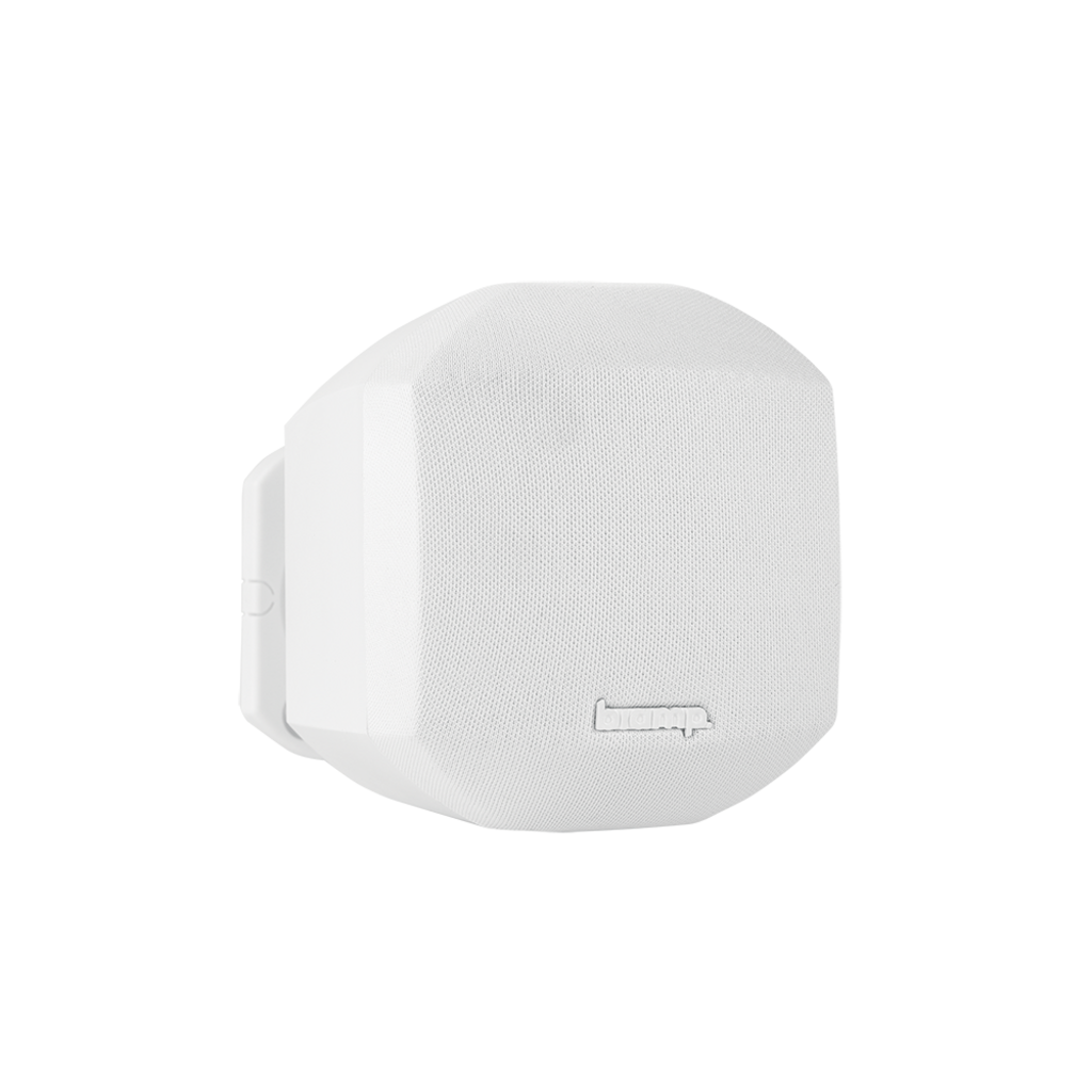 Biamp Desono MASK2 2.5'' Yüzeye Monte Hoparlör (Pasif, IP60, 35 W)