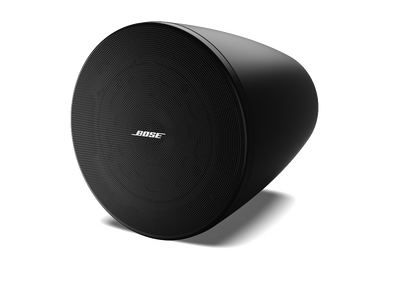 Bose Professional DesignMax DM5P Asma Hoparlörü (120° Kaplama, 105 dB Maks. SPL, İç Mekan)