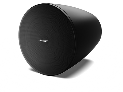 Bose Professional DesignMax DM5P Asma Tipi Hoparlör (120° Kaplama, 111 dB SPL, İç Mekan)